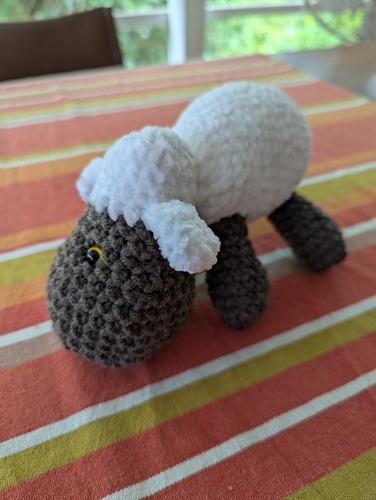 Sheep